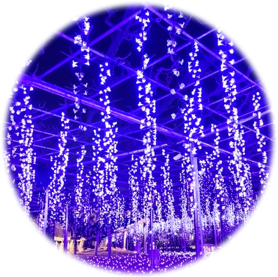 イルミネーション